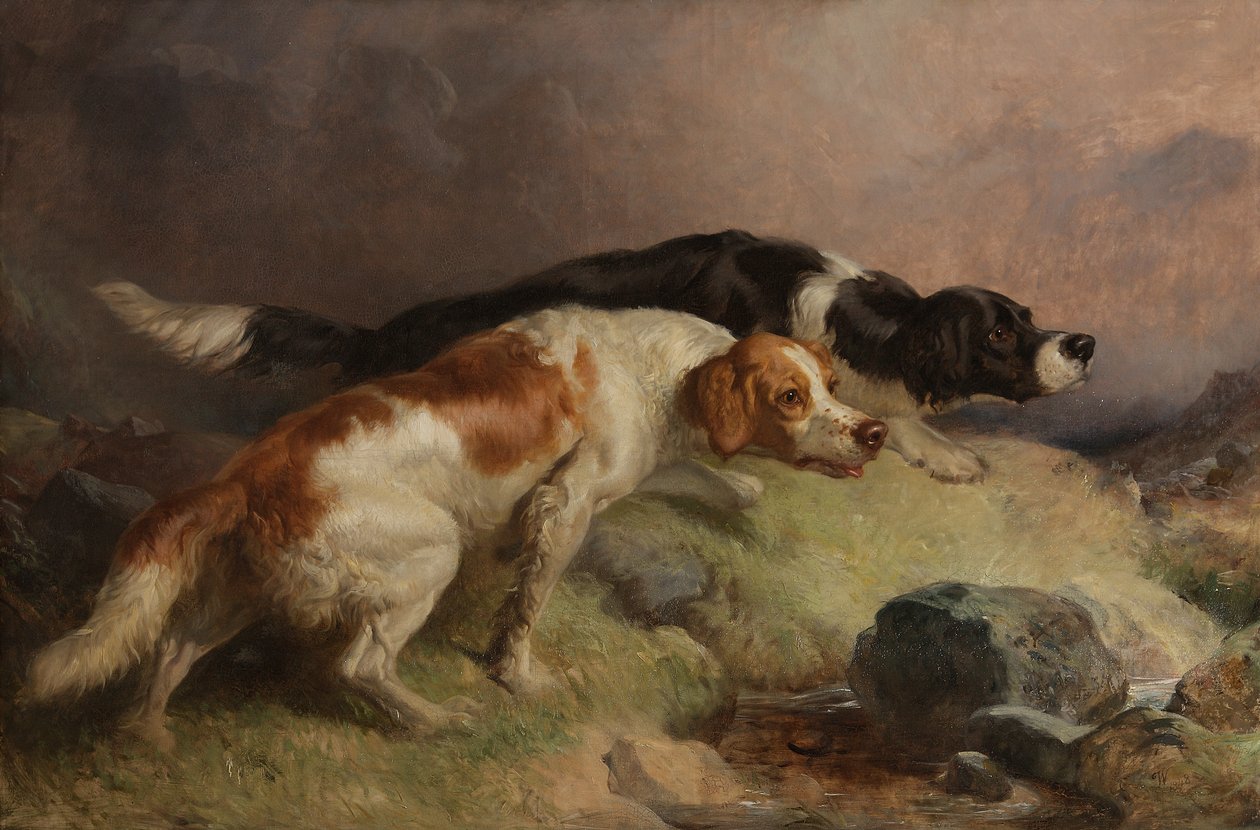 Setters on the Moor av Thomas Woodward