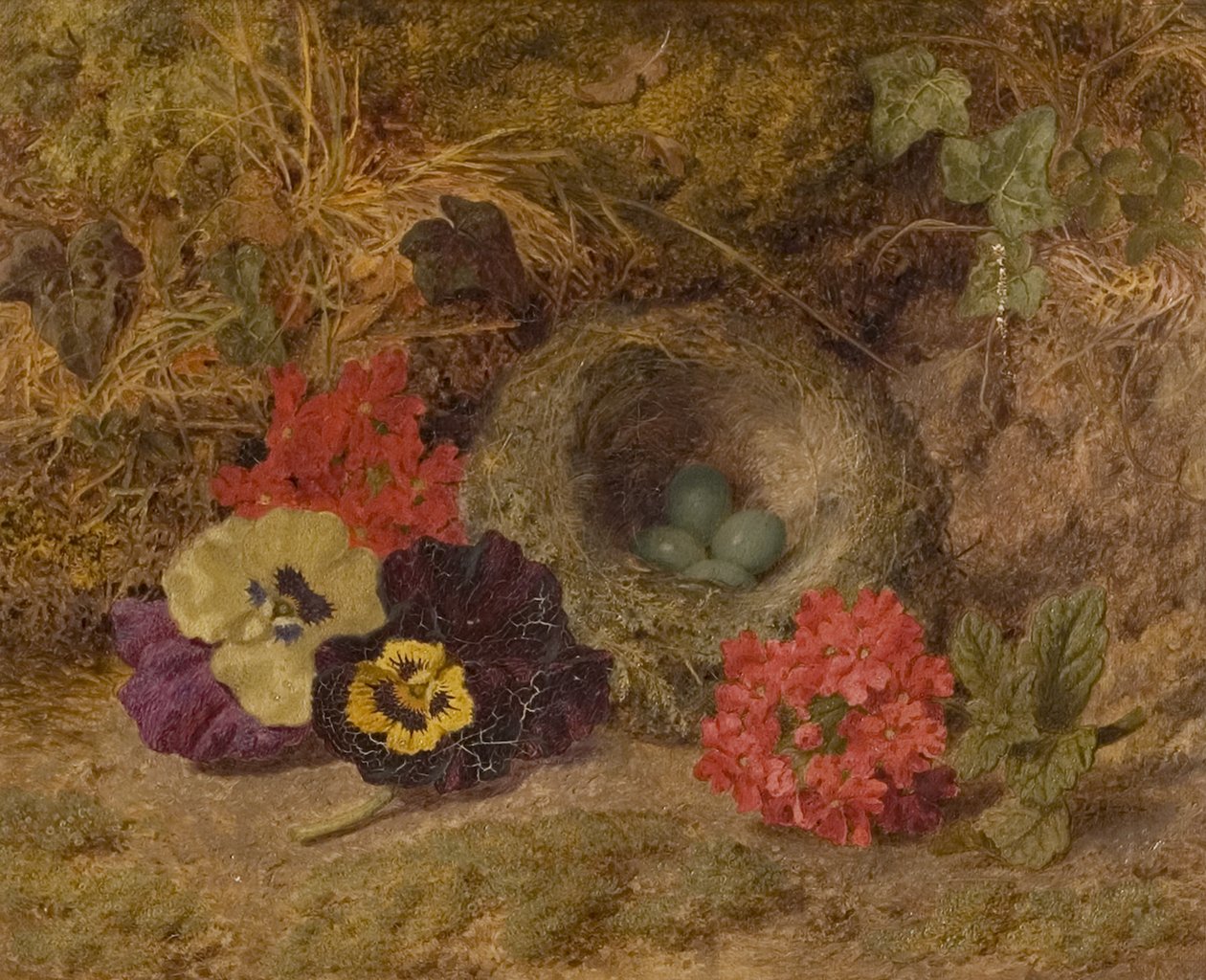 Ett fågelbo, Penséer och Verbena, sent 1800-tal av Thomas Worsey
