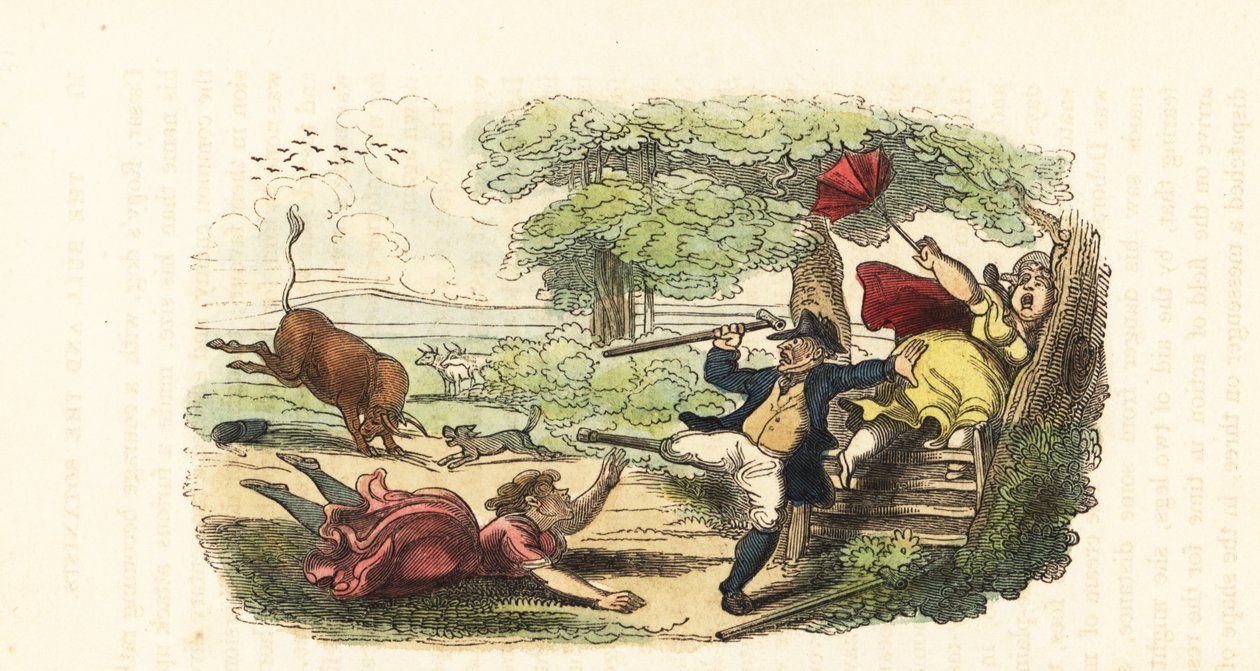 En familj av botaniker attackerad av en laddande tjur på ett fält. ,1831 (gravyr) av Thomas (after) Rowlandson