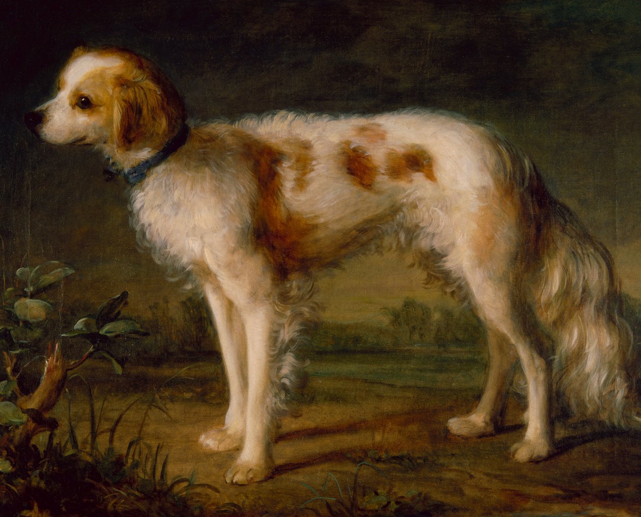 En spaniel i ett landskap (olja) av Thomas (circle of) Gainsborough