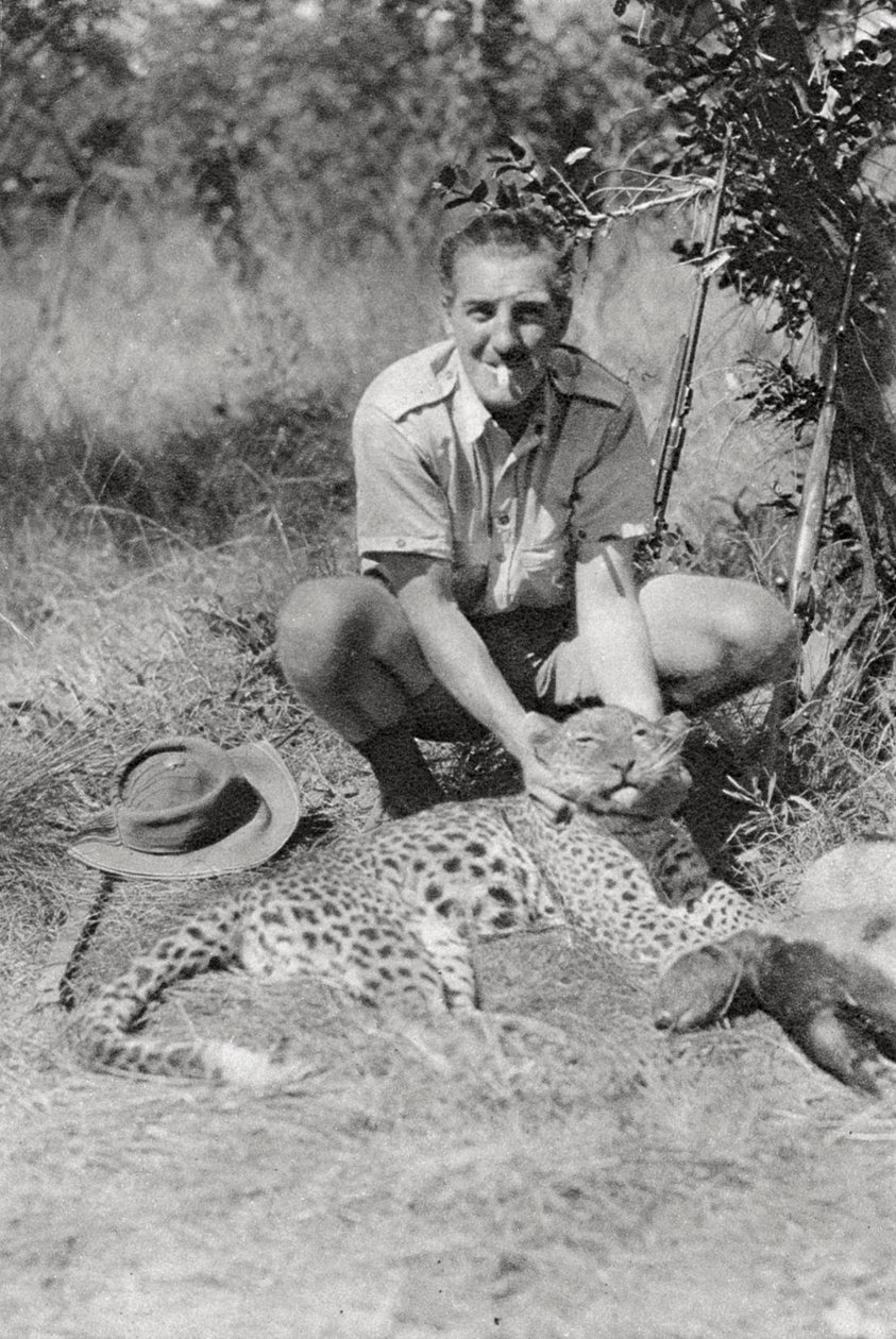 Chaplin Court Treatts leopard, Abercorn till Tukuyu, Tanganyika, 1925 1927 av Thomas A. Glover