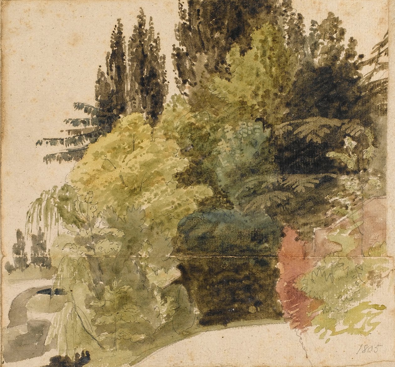 En studie av träd i trädgården vid Merton Place av Thomas Baxter