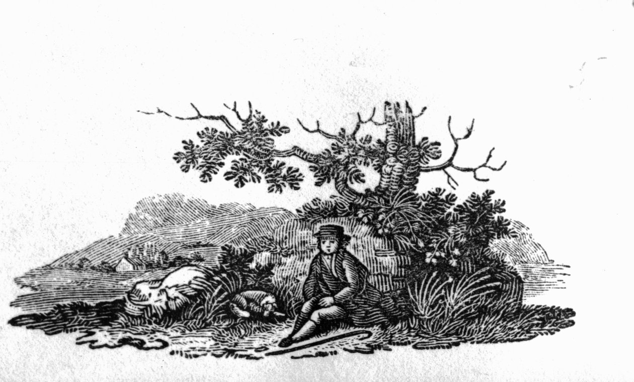 Man som sitter vid ett förkrossat träd från "History of British Birds and Quadrupeds" av Thomas Bewick