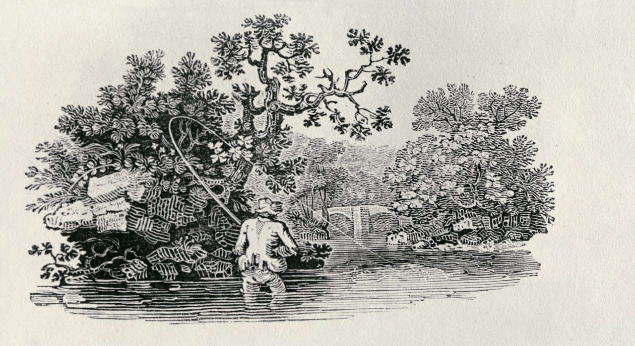 Spela en lax från "History of British Birds and Quadrupeds" av Thomas Bewick