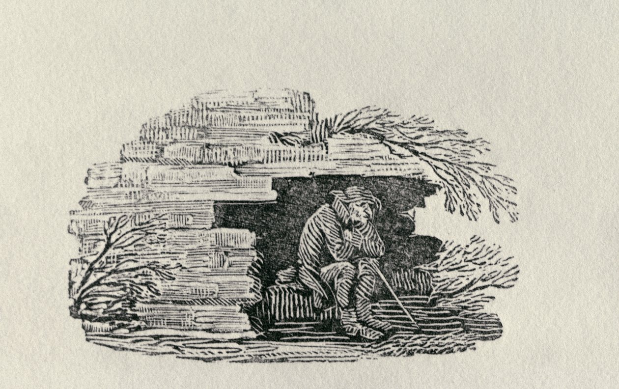 Sittande man som skyddar "History of British Birds and Quadrupeds" (gravyr) av Thomas Bewick