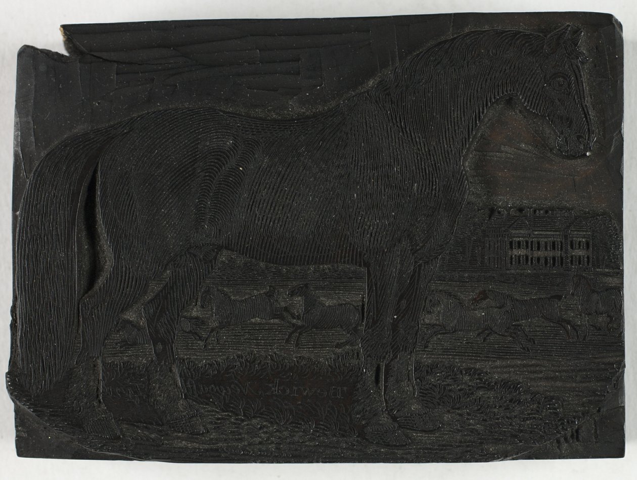 Träkloss för The Black Horse, från A General History of Quadrupeds av Thomas Bewick