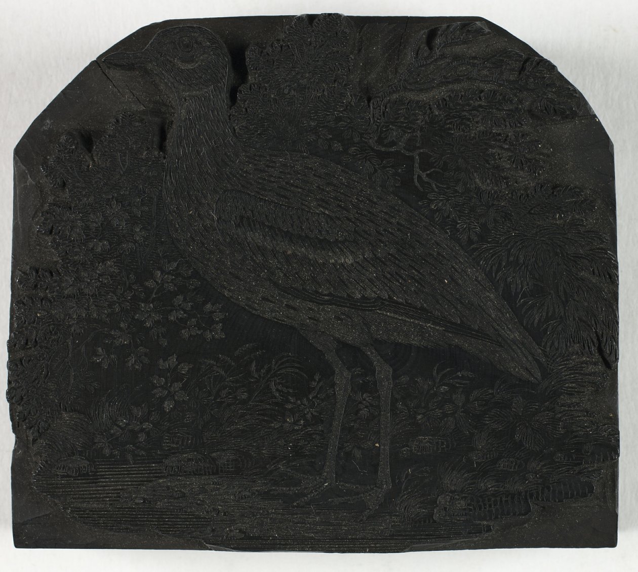 Träblock för The Great Plover, från A History of British Birds av Thomas Bewick