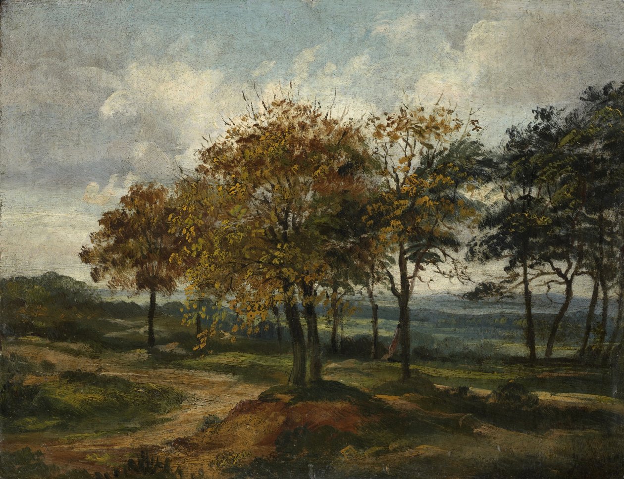 Skogbevuxen landskap av Thomas Churchyard