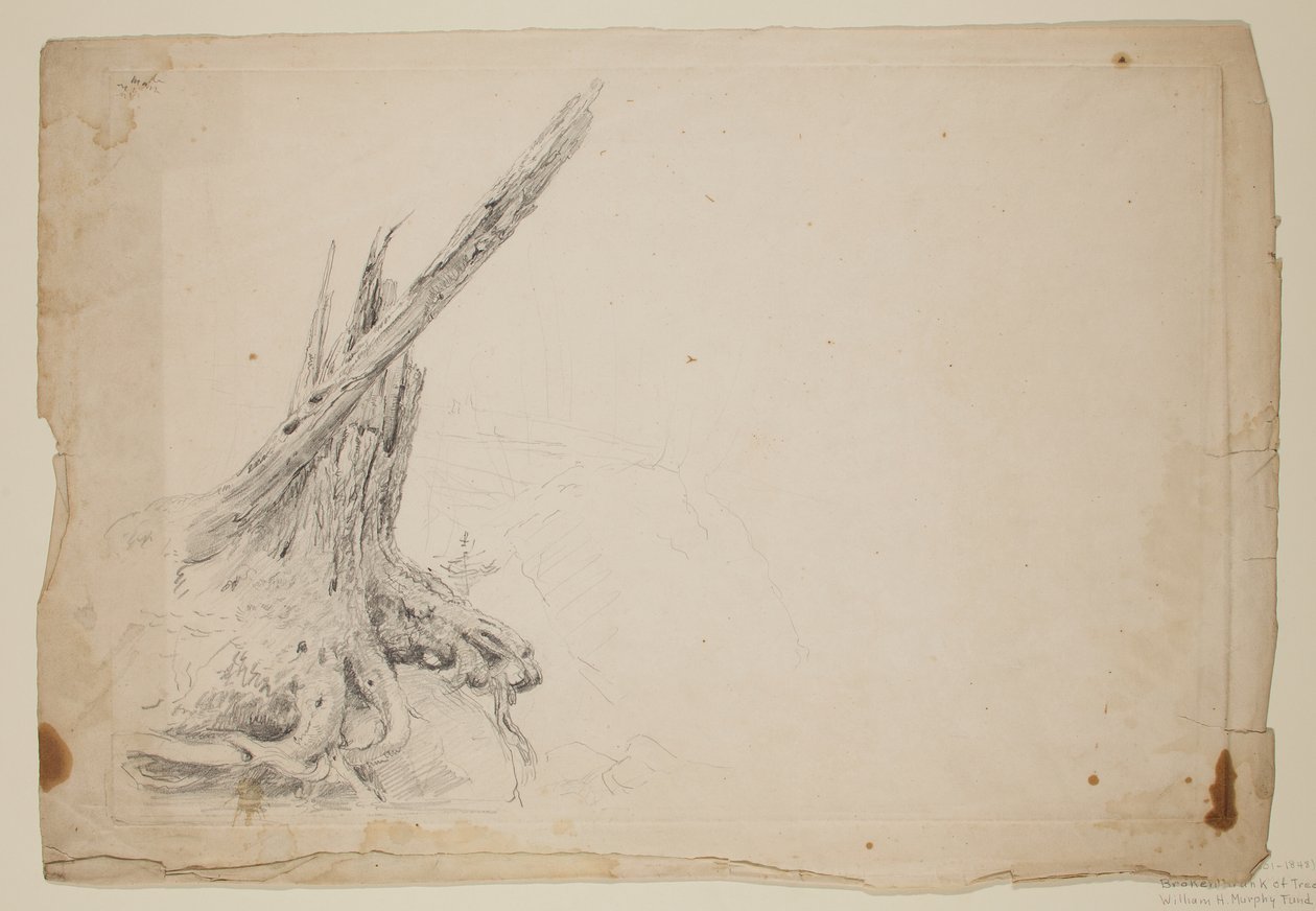 Bruten stam av ett träd (penna på papper) av Thomas Cole