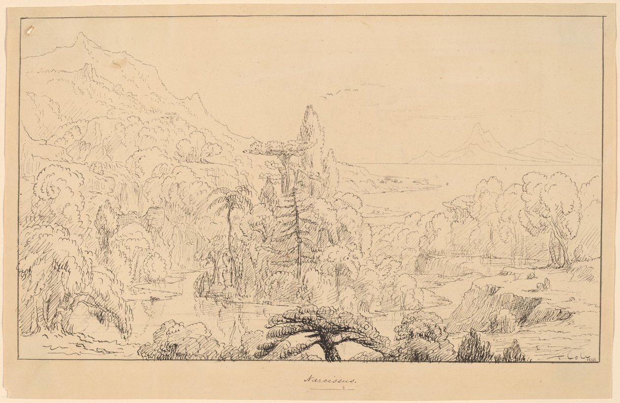 Narcissus [rak] av Thomas Cole