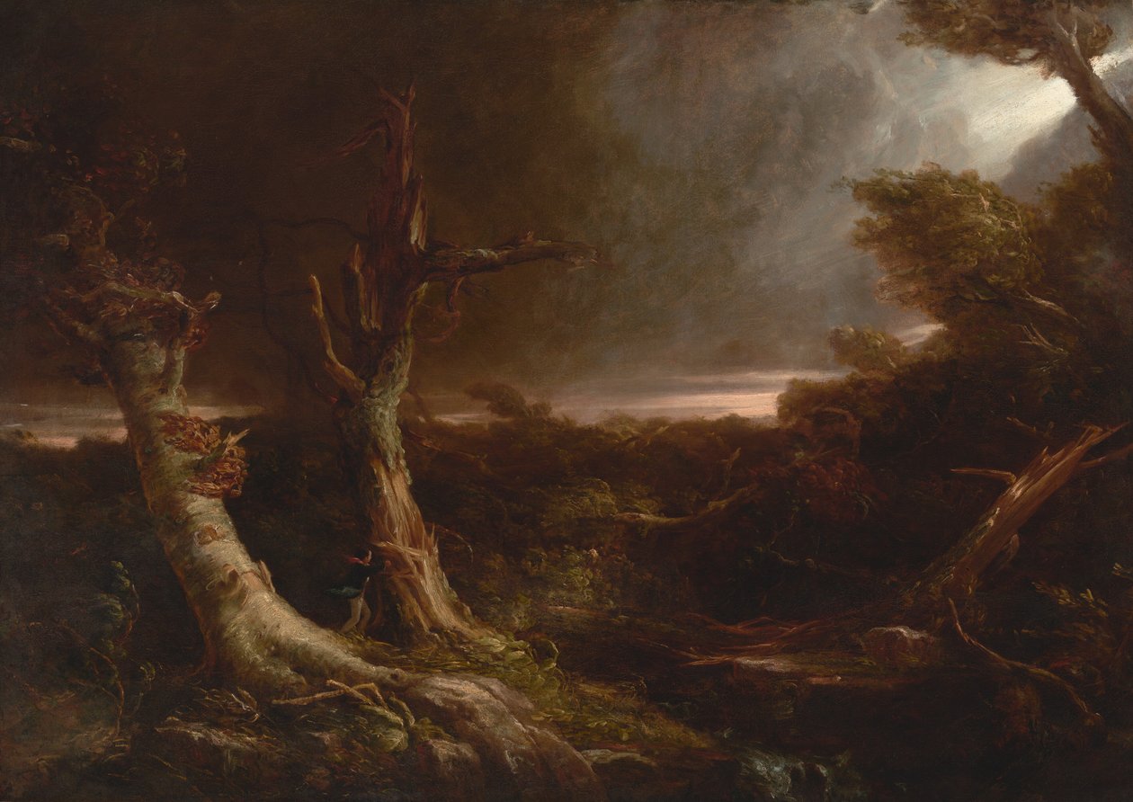 Tornado i en amerikansk skog av Thomas Cole