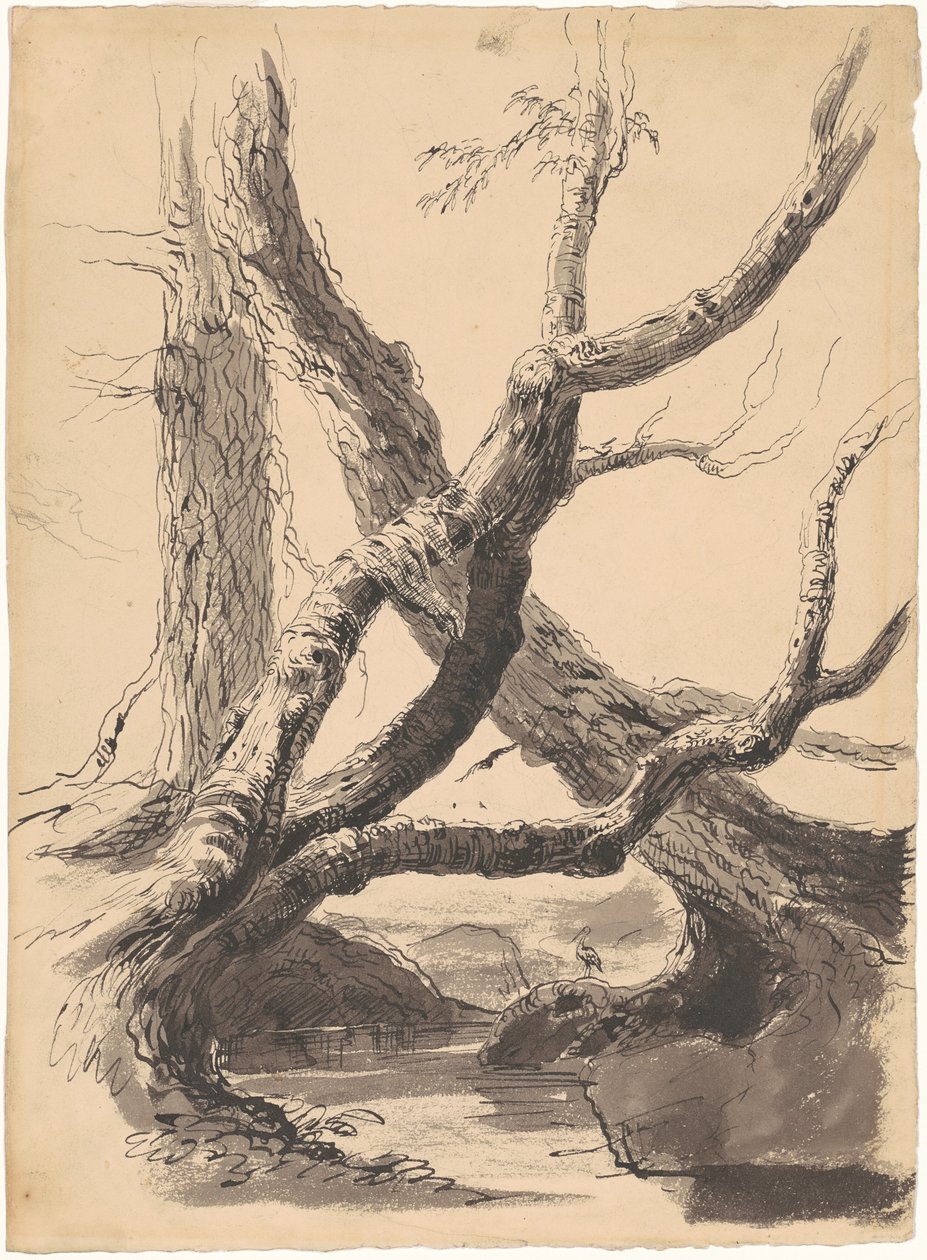 Trädstammar av Thomas Cole