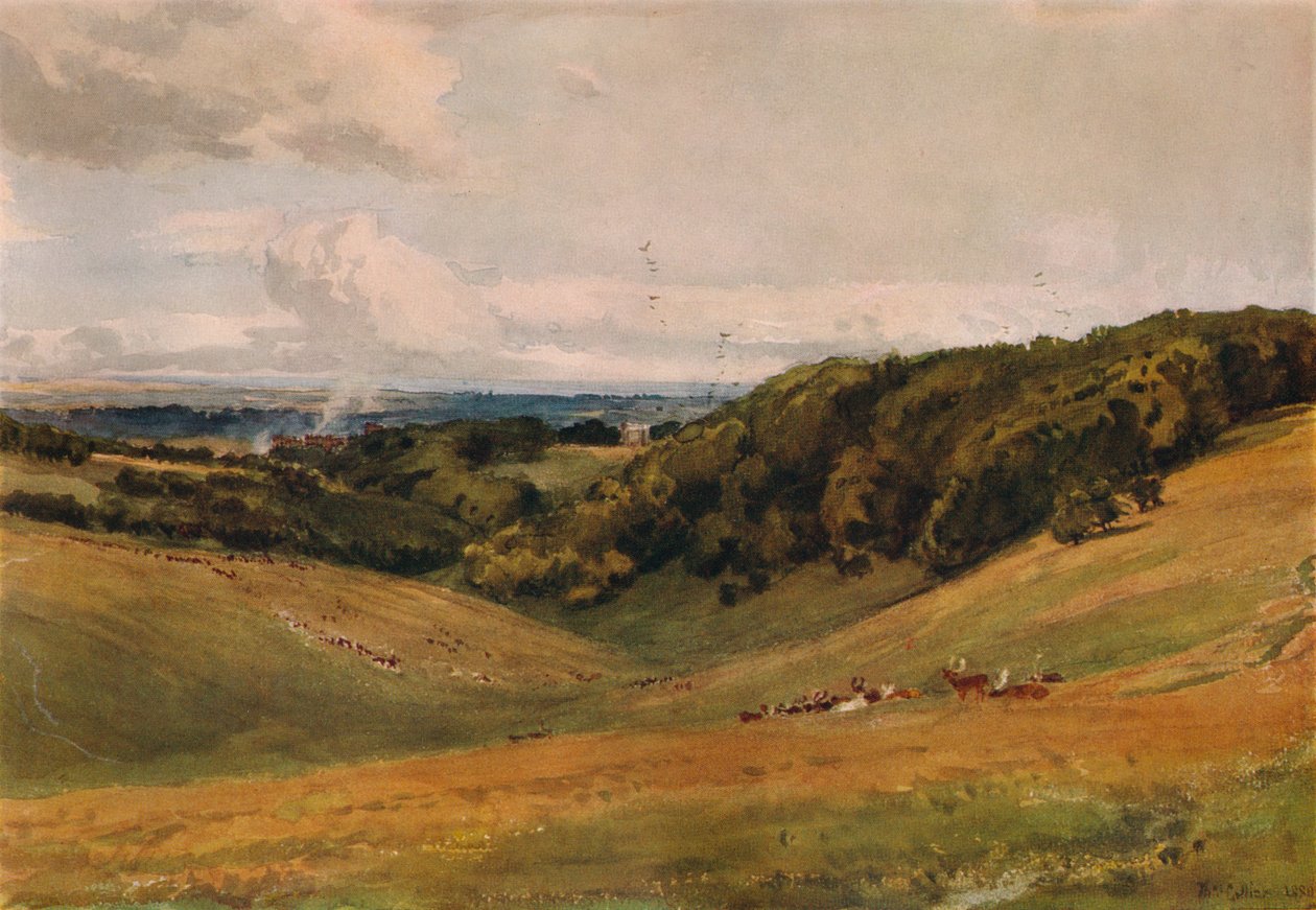 Arundel Park, med rådjur, 1880 av Thomas Collier