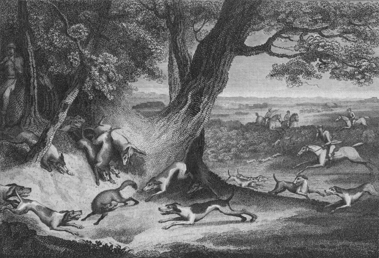 Rävens död, 1793. av Thomas Cook