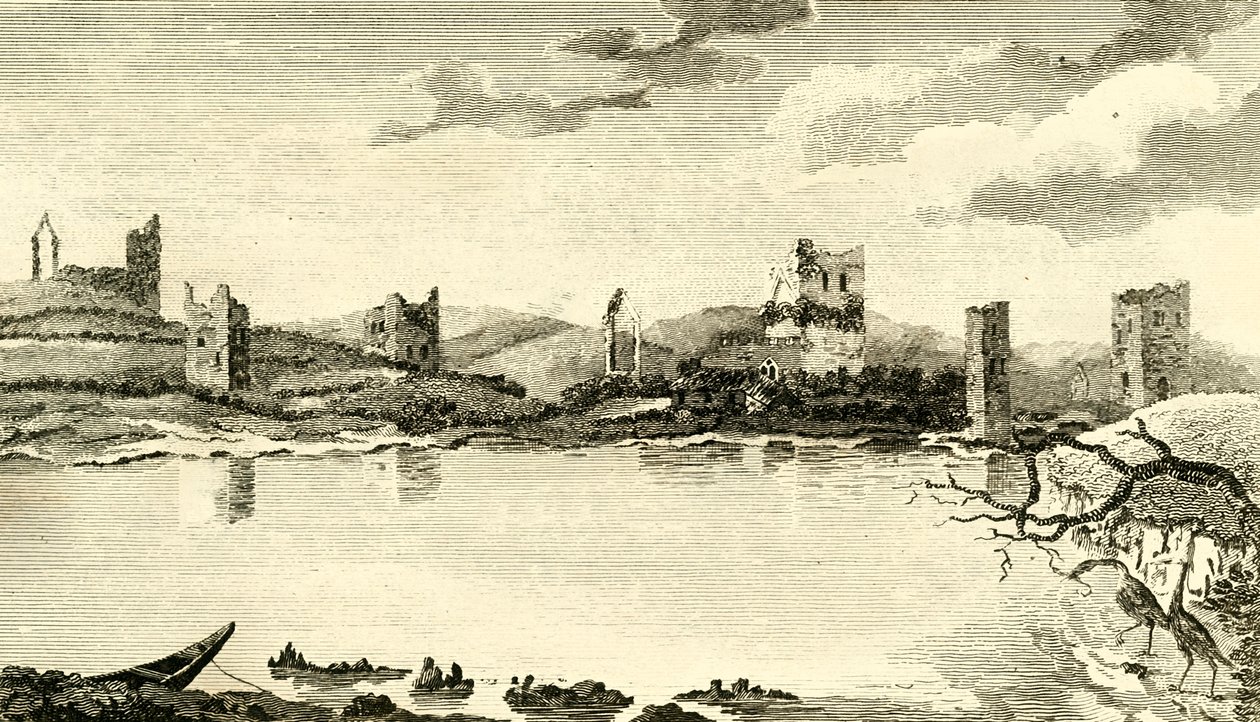 N. View of the Ruins of Clomines, Co. Wexford, 1791. av Thomas Cook