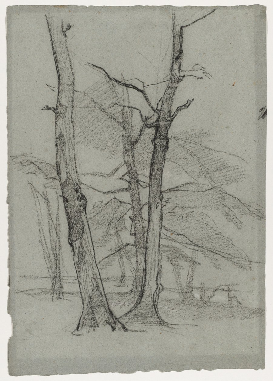 Landskapsstudie med träd, ca. 1870-1875. av Thomas Couture