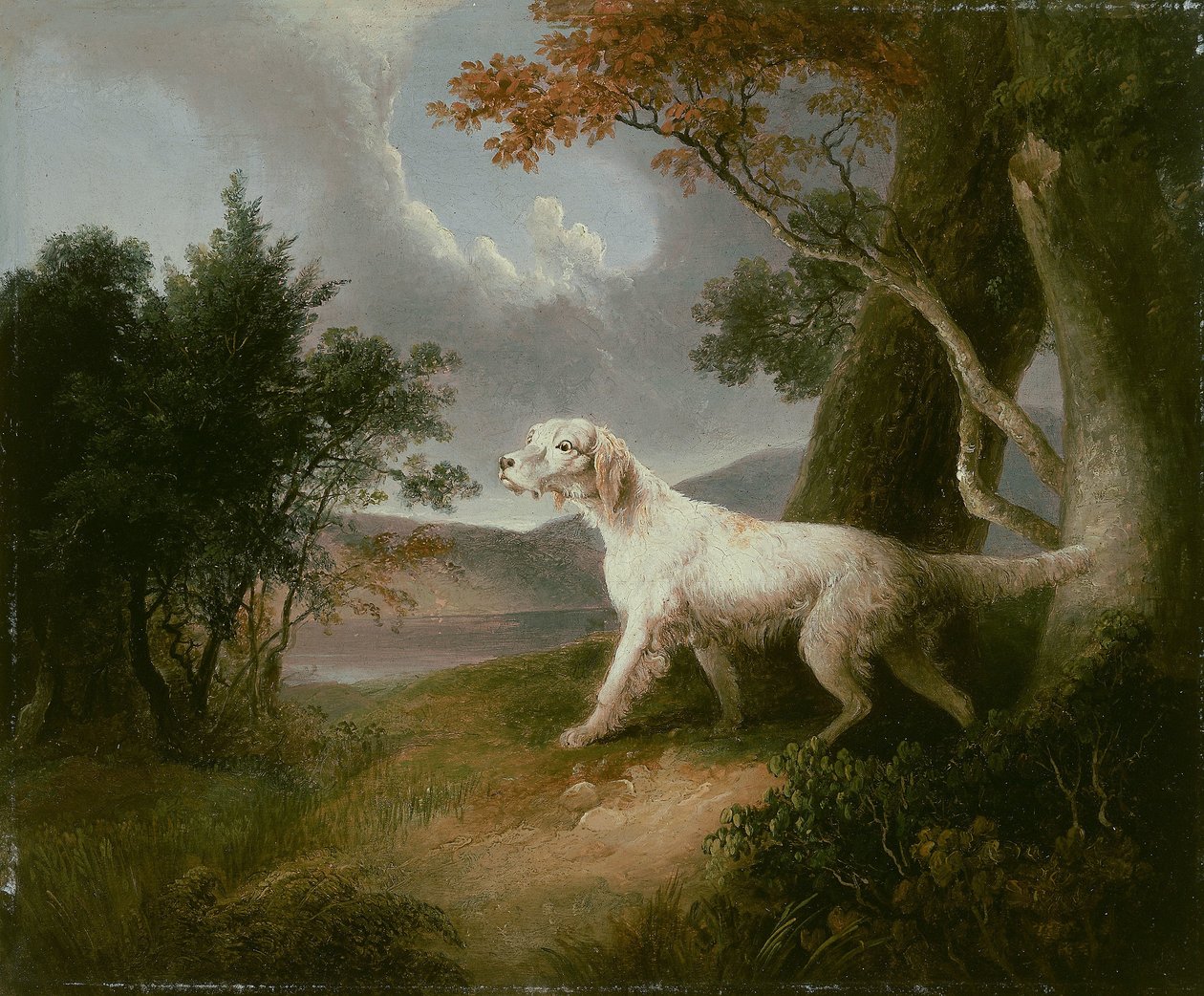 Landskap med hund av Thomas Doughty