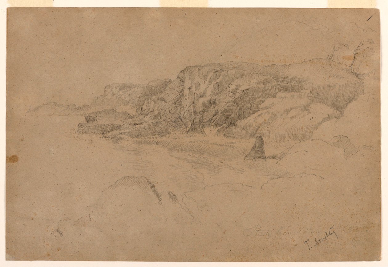 Studie från naturen av Thomas Doughty