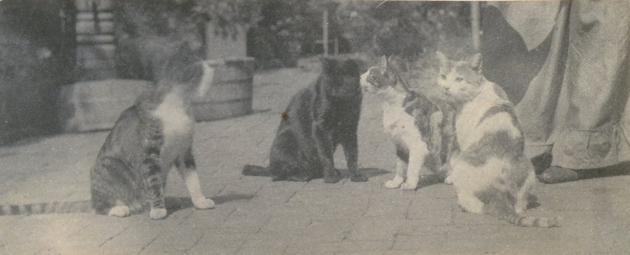 Fyra katter, ca. 1895. av Thomas Eakins