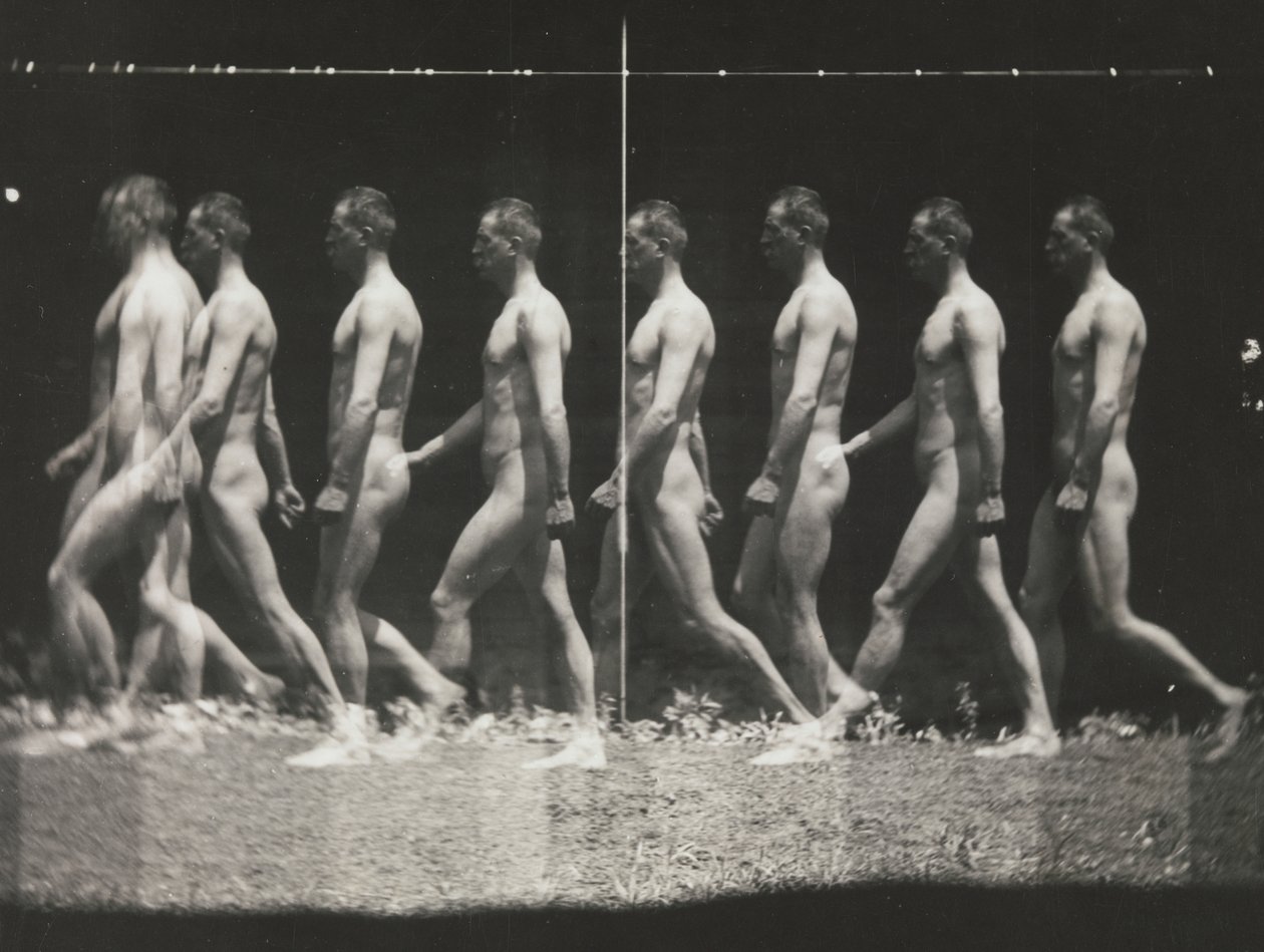 [Man Walking, Stroboscopic Photograph], 1880-tal, tryckt 1930-40-tal, 1880-tal, tryckt 1930-40-tal. av Thomas Eakins