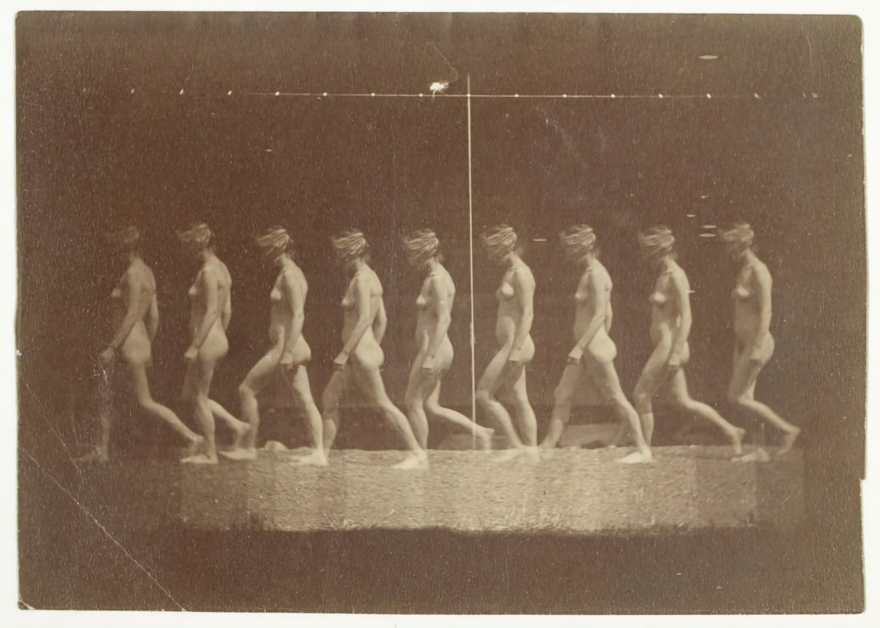 Marey Wheel-fotografier av oidentifierad modell, 1884. av Thomas Eakins