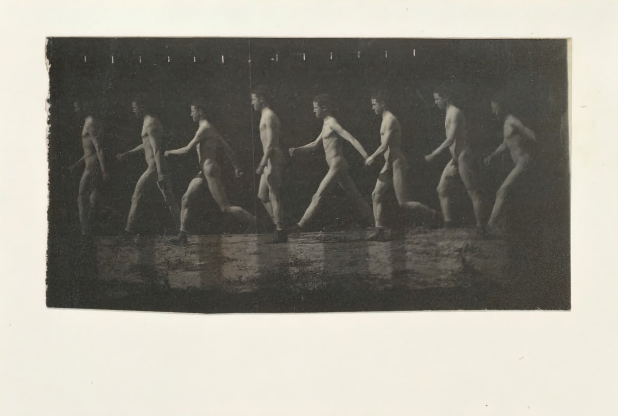 Marey Wheel-fotografier av oidentifierad modell, 1884. av Thomas Eakins