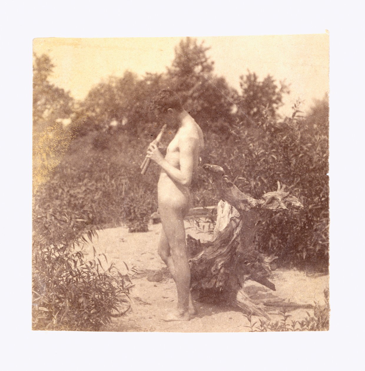 Stehender Pfeifer (Studie für "Arkadia") av Thomas Eakins