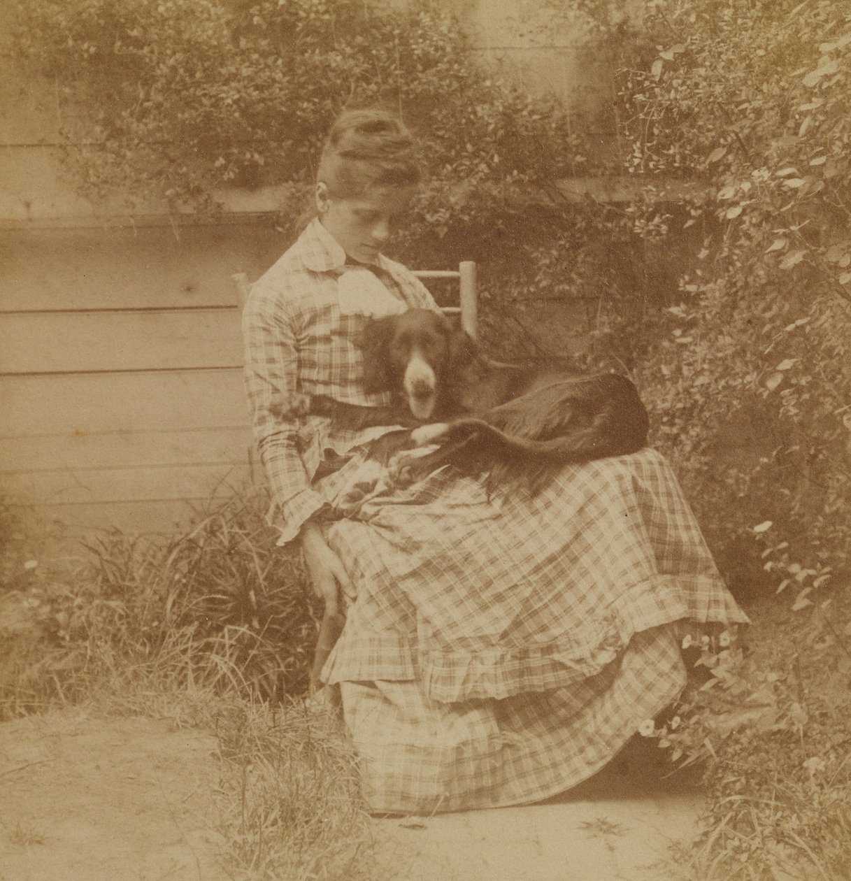 [Susan Macdowell (senare fru Thomas Eakins) med en setter] av Thomas Eakins