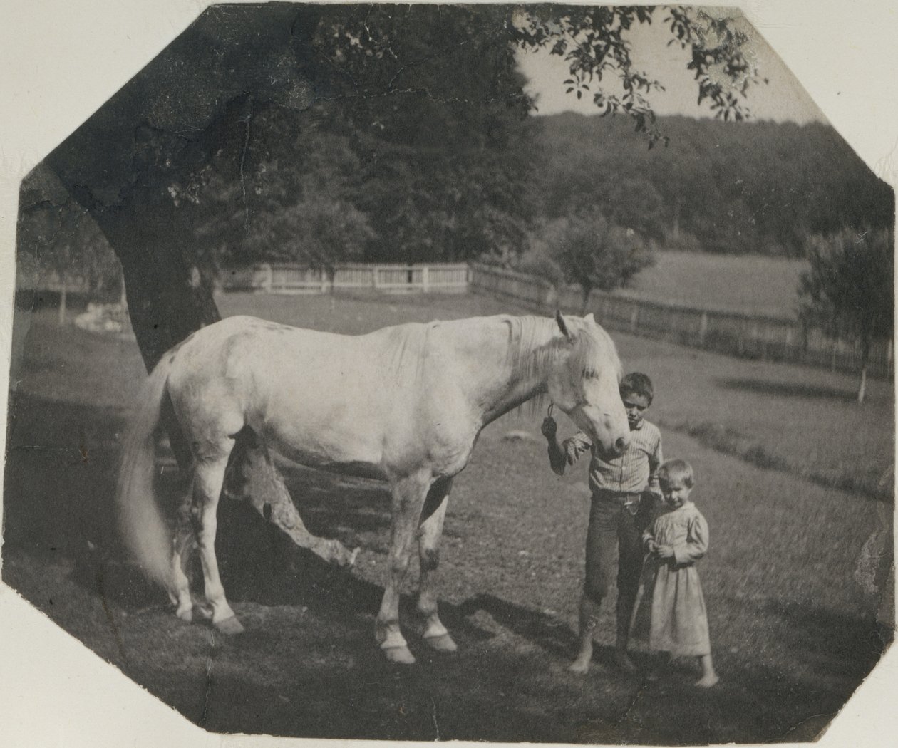 [Thomas Eakins häst Billy och två Crowell-barn i Avondale, Pennsylvania] av Thomas Eakins