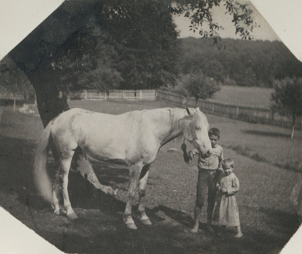 Thomas Eakins häst Billy och två Crowell-barn i Avondale, Pennsylvania, ca. 1892. av Thomas Eakins