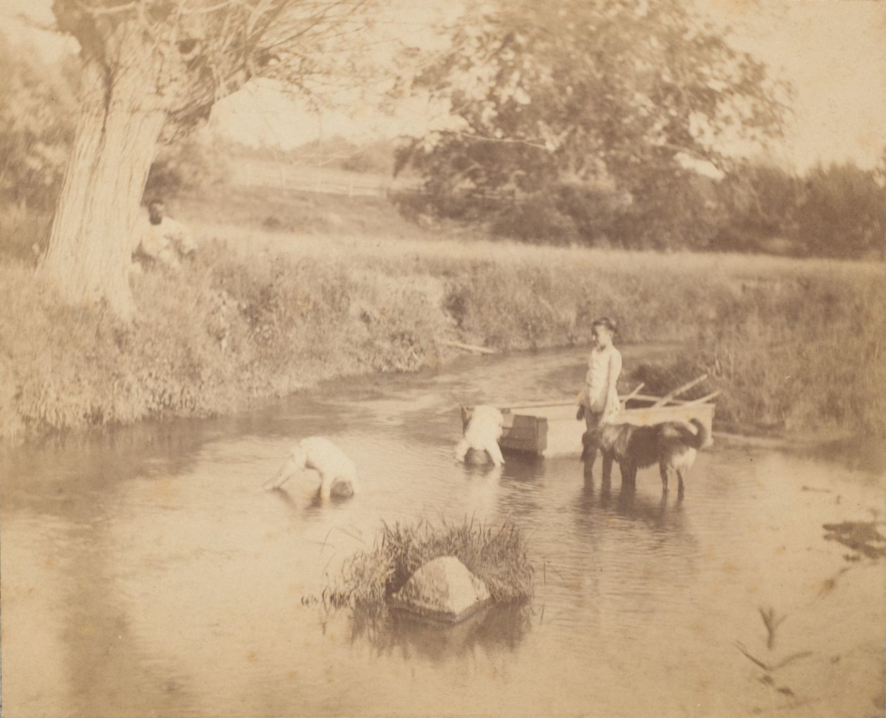 [Tre barn och en hund som leker i bäcken, 4 juli 1883], 1883., 1883. av Thomas Eakins