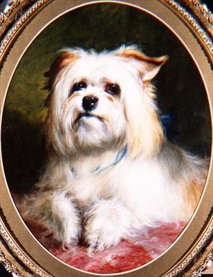 En vinnande look av Thomas Earl