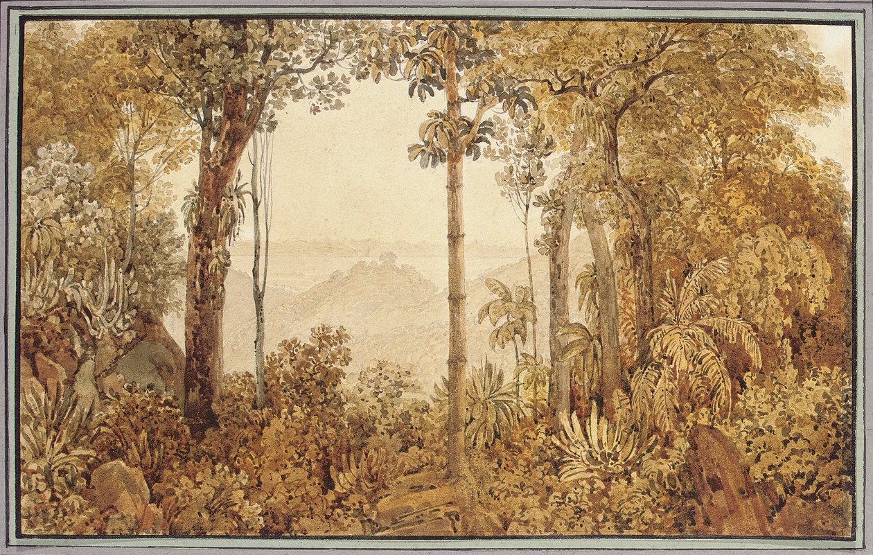 Utsikt över Rio de Janeiro från Tijuca-skogen av Thomas Ender