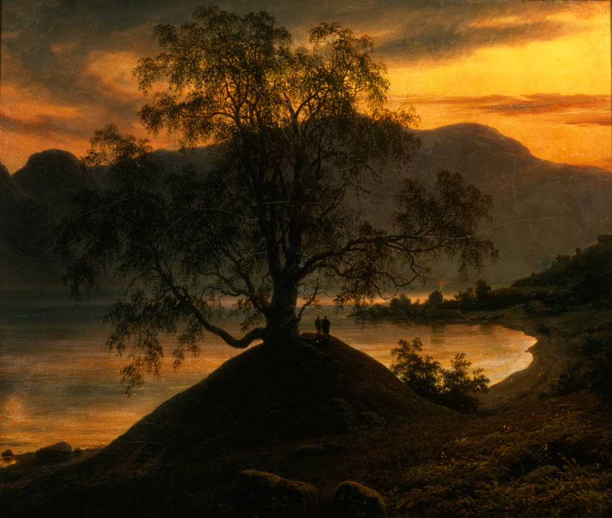 Slindrebirken av Thomas Fearnley