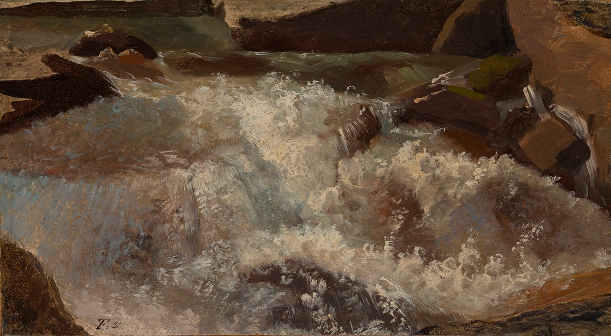 Vildvatten. Naturstudie av Thomas Fearnley