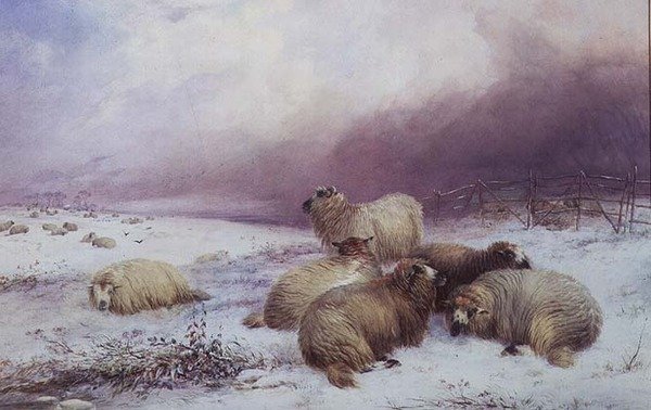 Ett vinterlandskap med får av Thomas Francis Wainewright