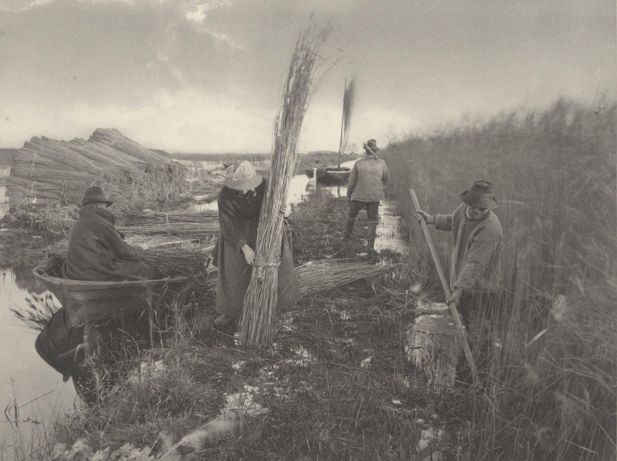 Under vassskörden,1886 (foto) av Thomas Frederick Goodall