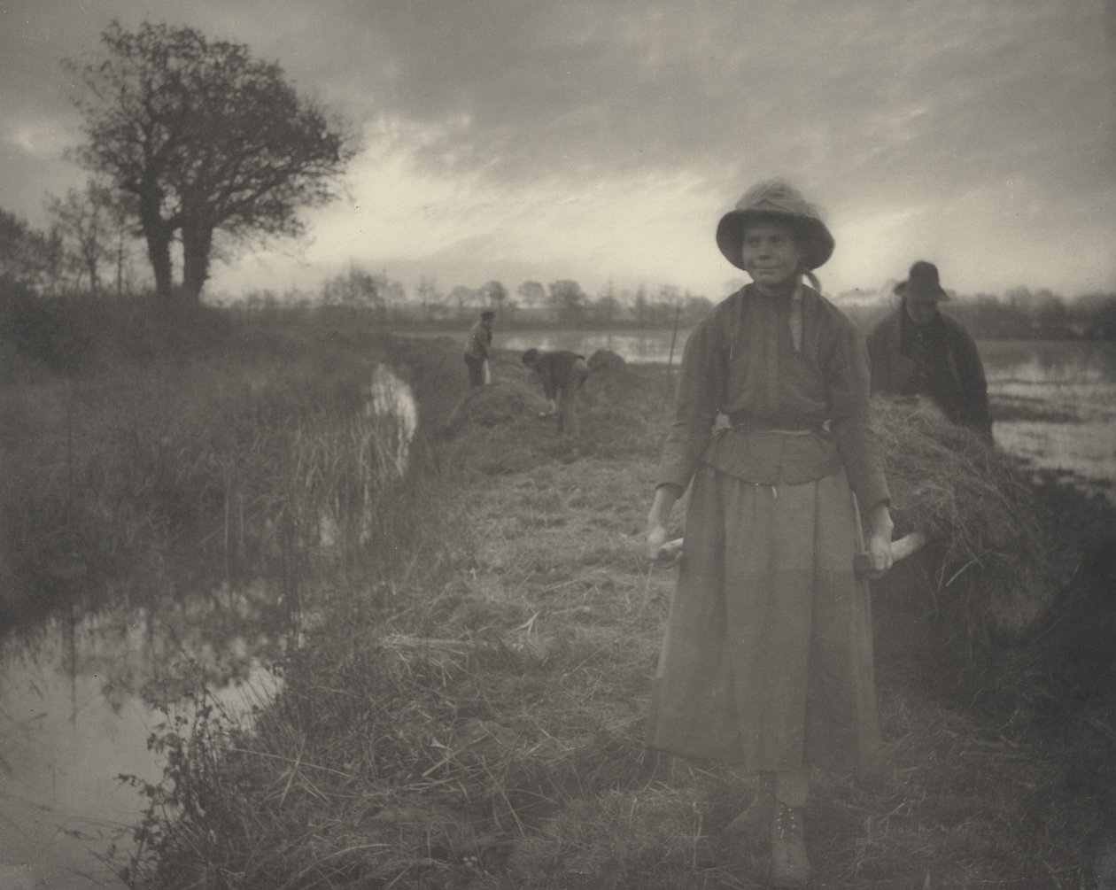 Polering av myrhö,1886 (foto) av Thomas Frederick Goodall