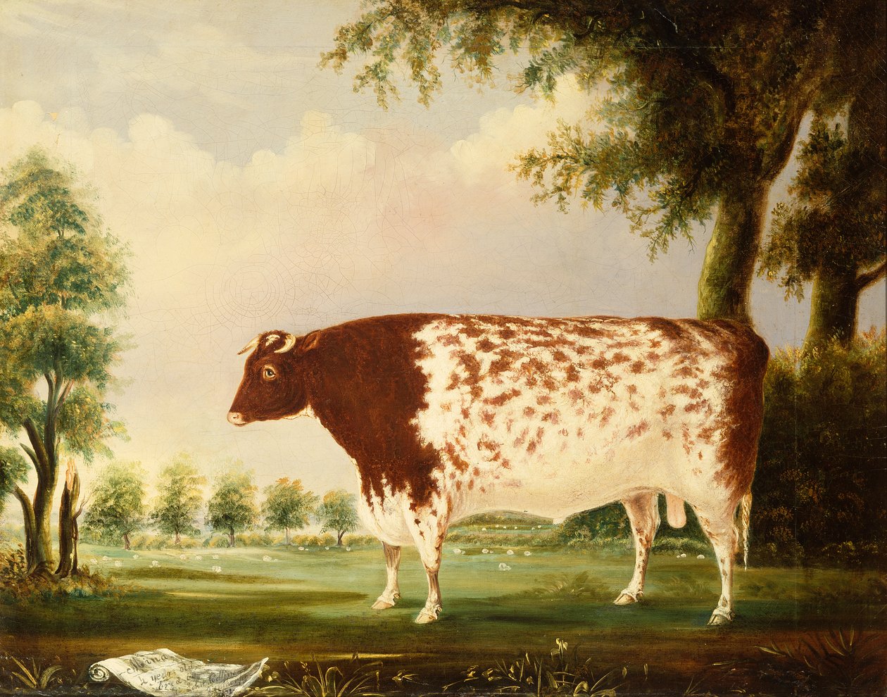Mina, A Four Year Old Shorthorn Bull, in a Meadow (olja på duk) av Thomas Freebairn Wilson