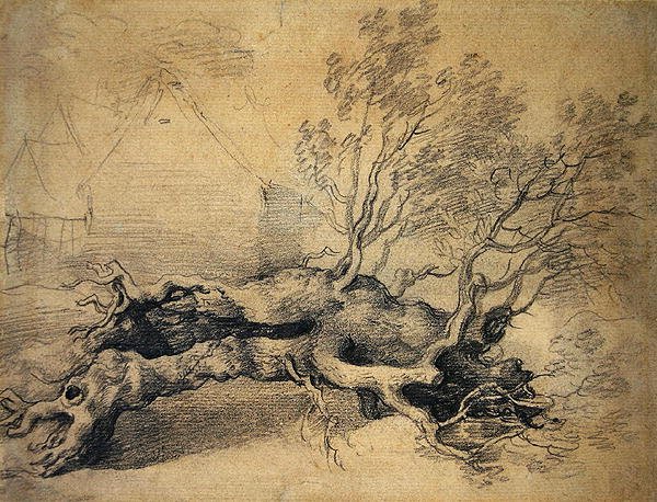 Ett fallen träd med gårdsbyggnader bortom (penna på papper) av Thomas Gainsborough