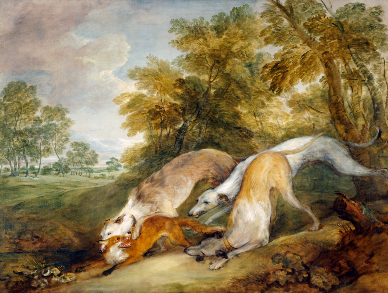 Vinthundar som jagar en räv (olja på duk) av Thomas Gainsborough