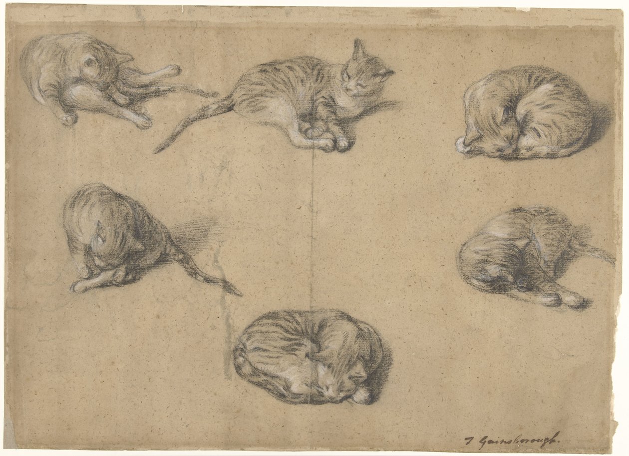 Sex studier av en katt av Thomas Gainsborough