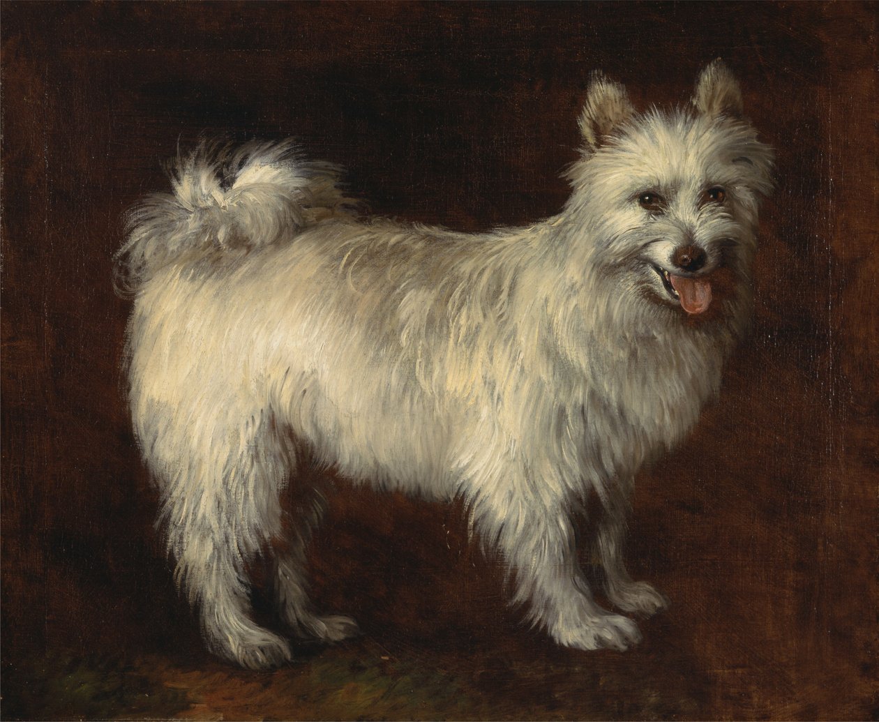 Spetshund av Thomas Gainsborough