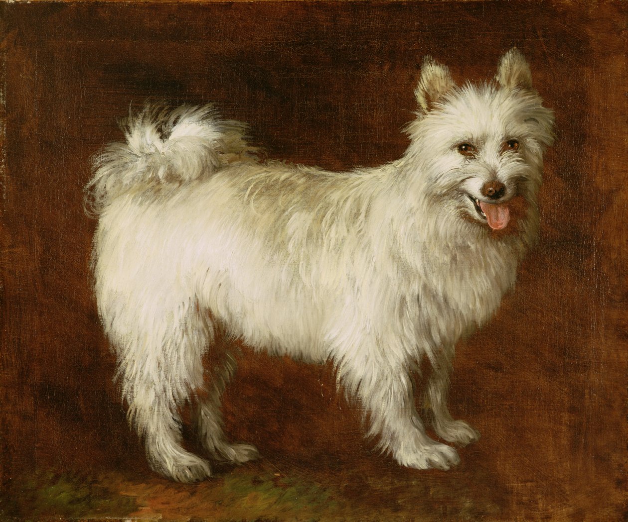 Spitz Dog, ca 1760-70 (olja på duk) av Thomas Gainsborough