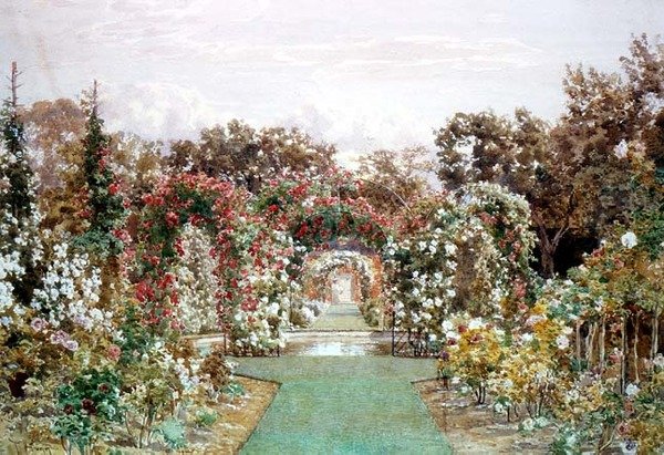 Crimson Rambler på Clandon Park av Thomas H. Hunn
