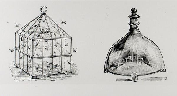 Geting- och flugfällor, från Thomas Mawsons "The Art and Craft of Garden Making", publicerad 1900 (gravyr) (s/v foto) av Thomas Hayton Mawson
