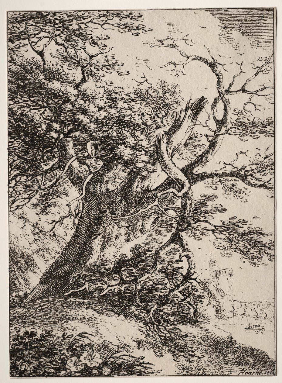 Exemplar av polyautografi: Landskap med en ek, 1803. av Thomas Hearne