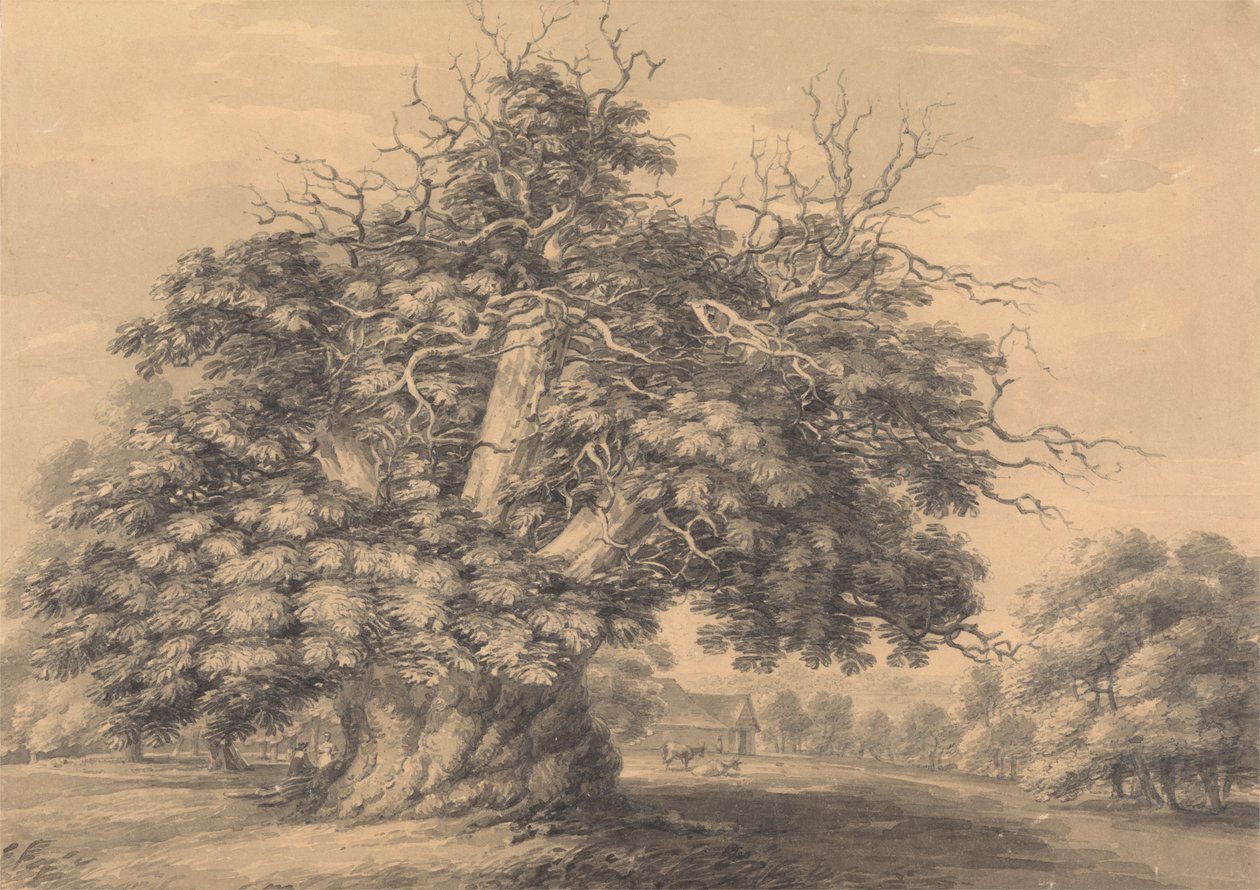 Kastanjeträdet vid Little Wymondley, Hertfordshire av Thomas Hearne