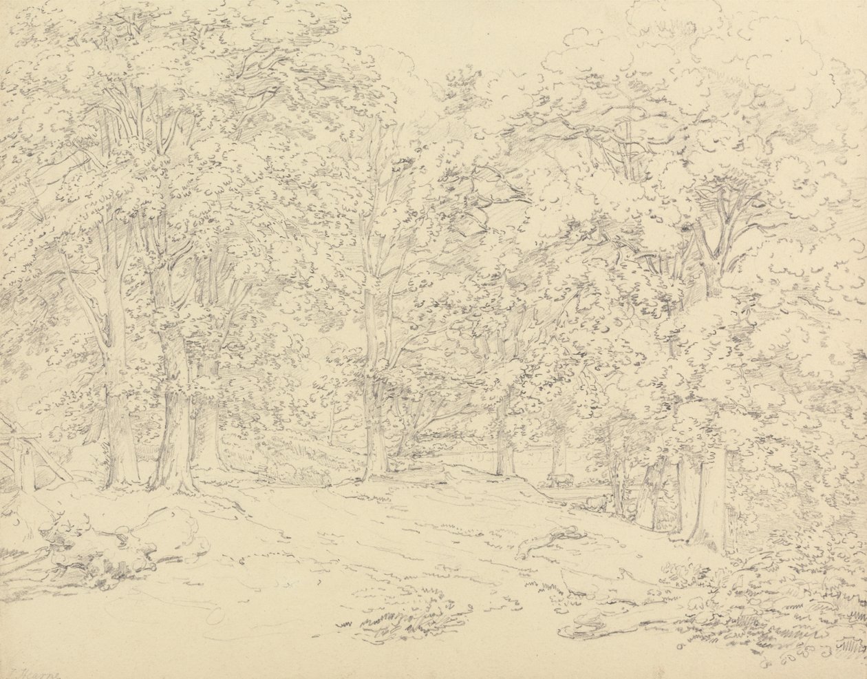 Träd i Ashtead Park, Surrey av Thomas Hearne