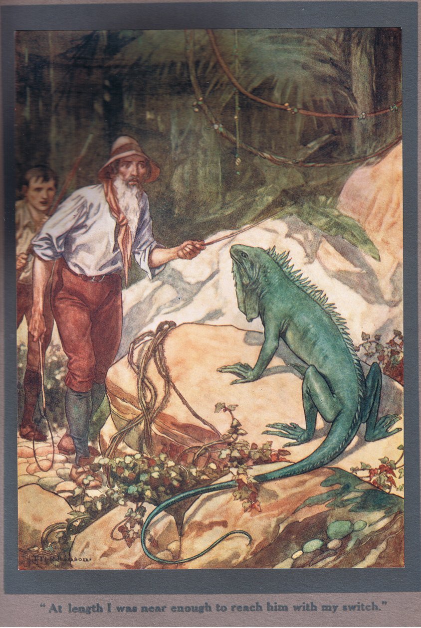 Till slut var jag så nära att jag kunde nå honom med min brytare (färglitografi) av Thomas Heath Robinson
